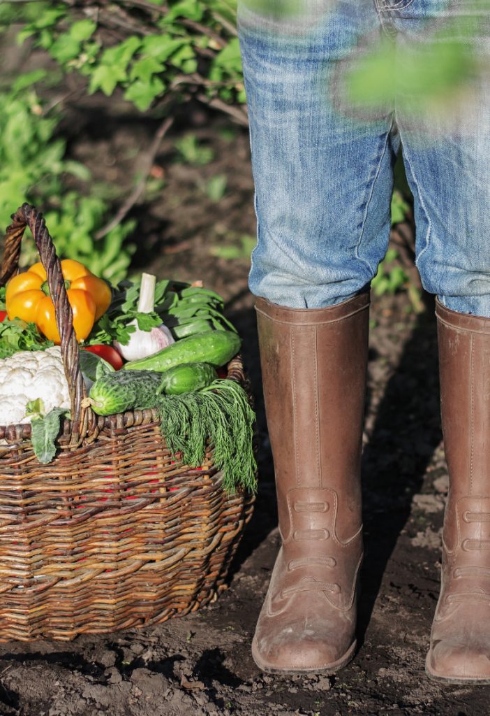 Lokaal van de streekboerderij | filosofie De Groene Artisanen