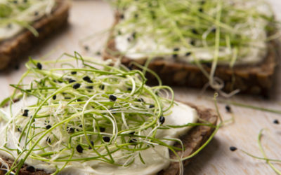 Meerzaden brood met homemade vegan cream cheese