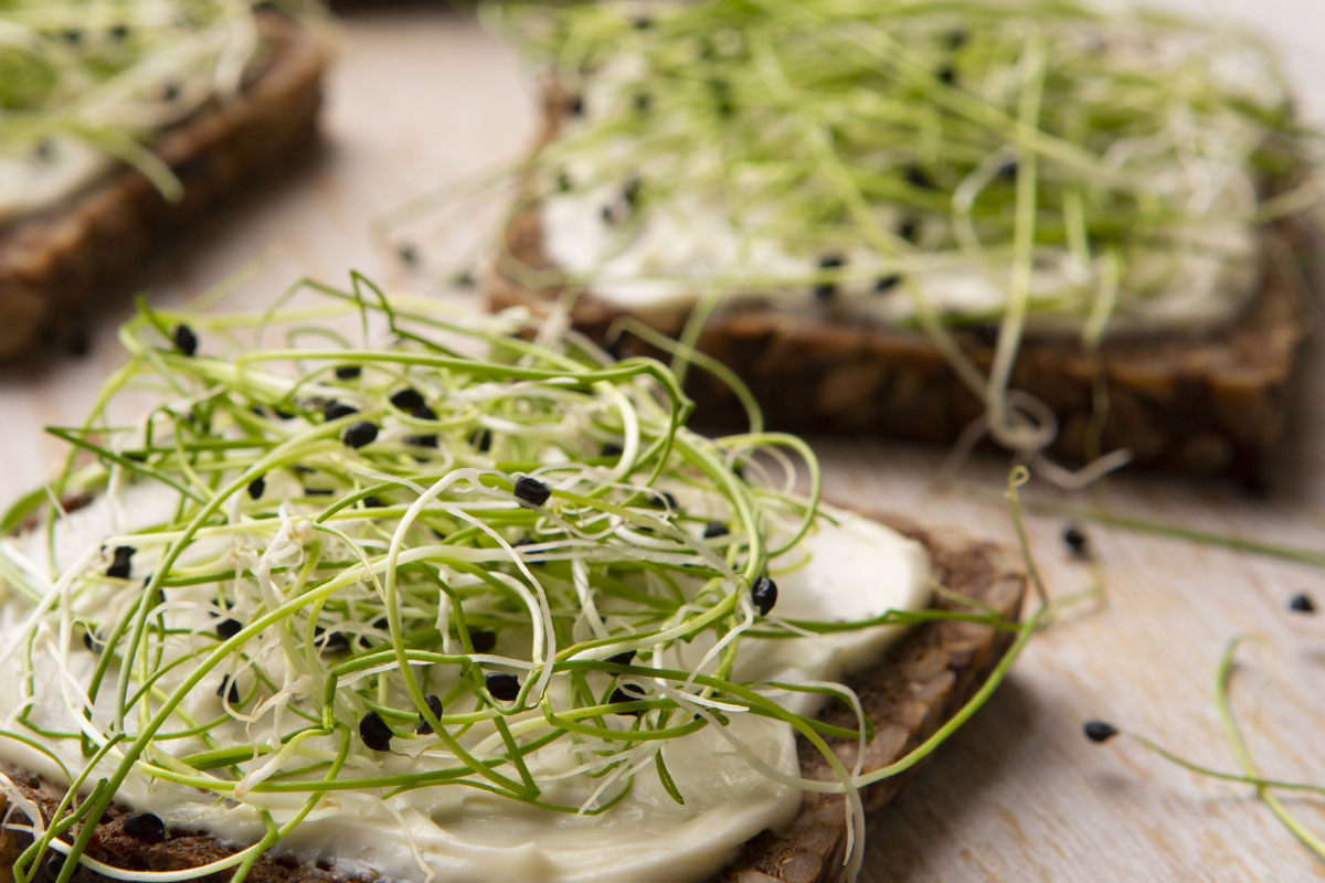 Meerzadenbrood met homemade vegan cream cheese DGA bedrijfscatering vegan recepten